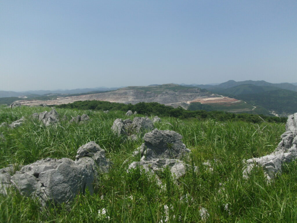 多分、美祢市の石灰岩の採掘場