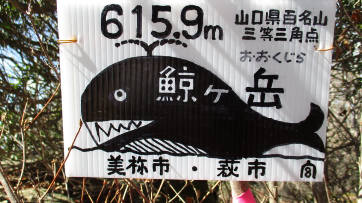 【山口県百名山】美祢市の鯨ヶ岳はめっちゃ潮吹いてました