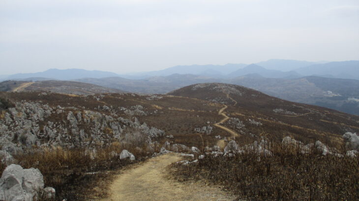 春ならではの体験！山焼き後の秋吉台、龍護峰と防火帯を歩いてきたよ！