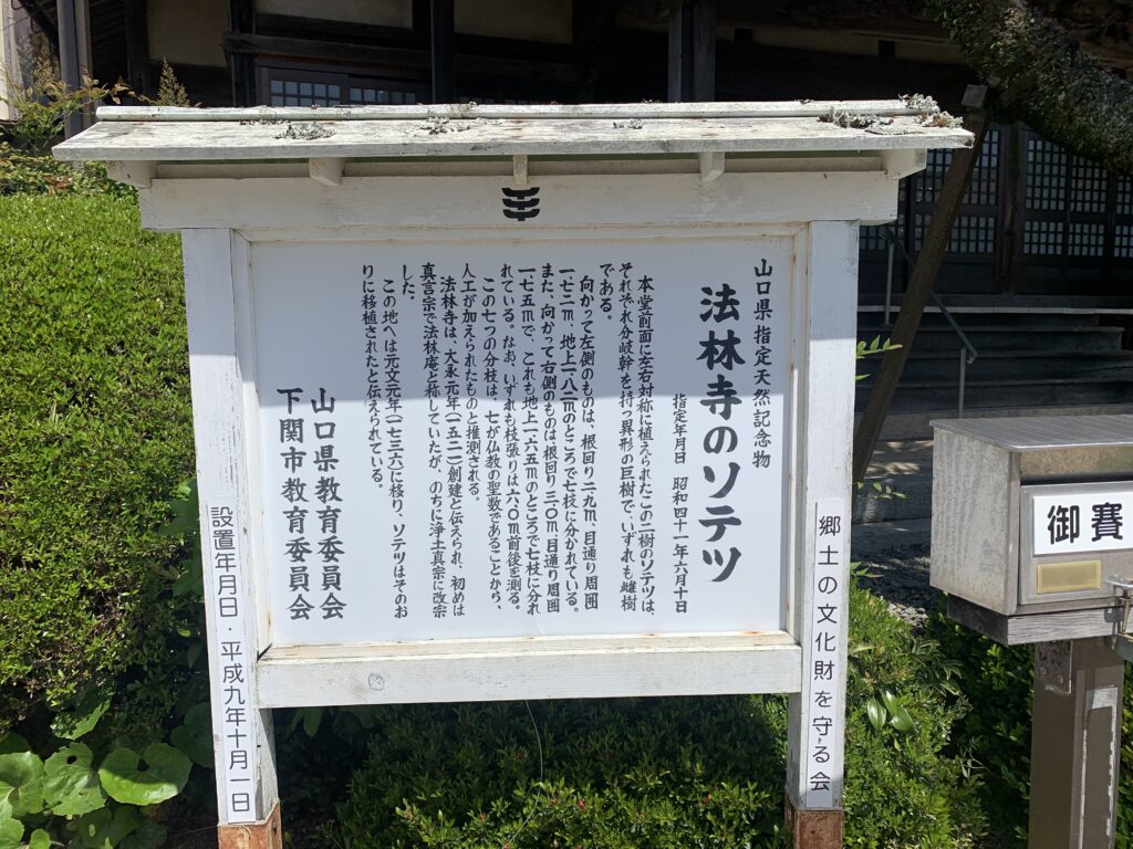 山口県指定天然記念物の看板