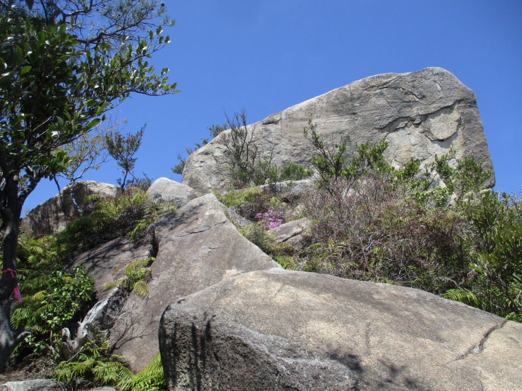 大岩を見上げる