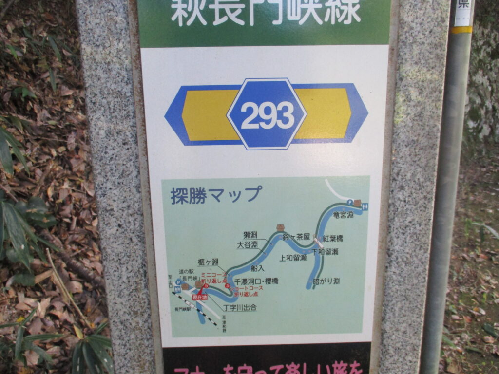山口県道293号萩長門峡線