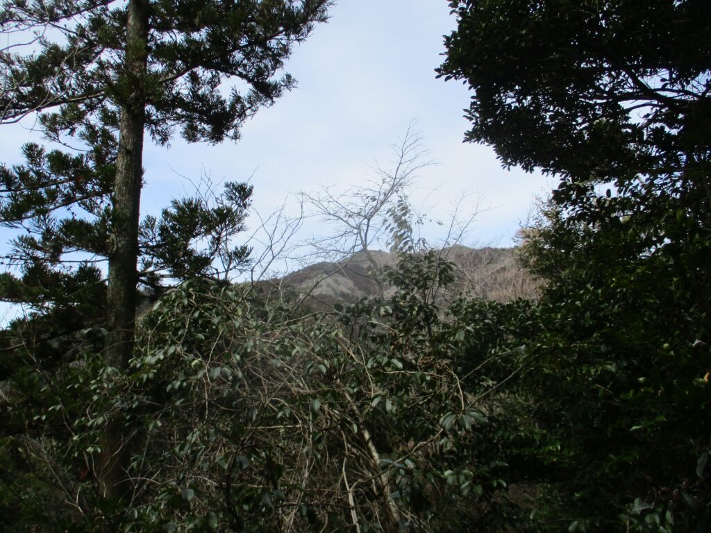 登山道から見る東鳳翩山