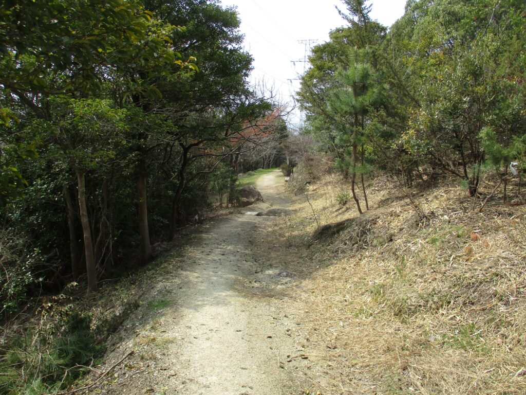 神社右の小道