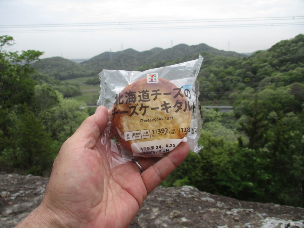 北海道チーズのチーズケーキタルト