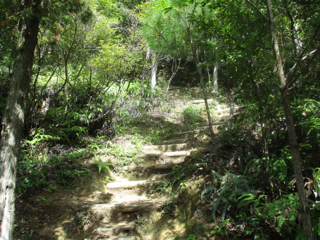 登山ロード開始