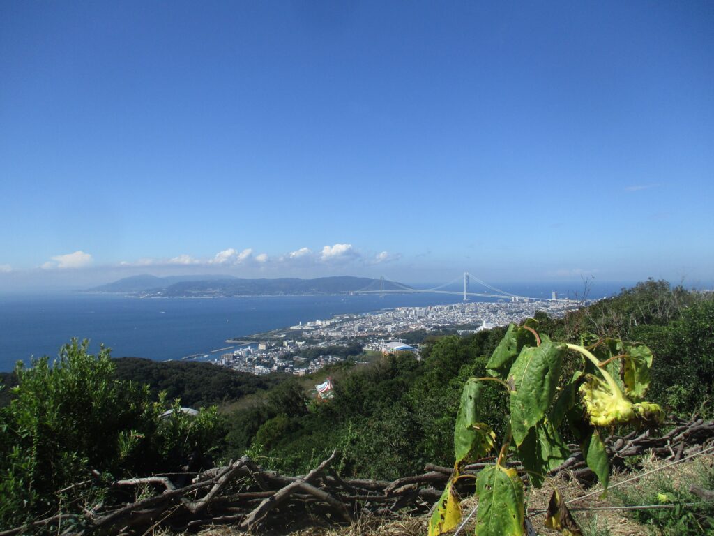 旗振山から明石海峡大橋