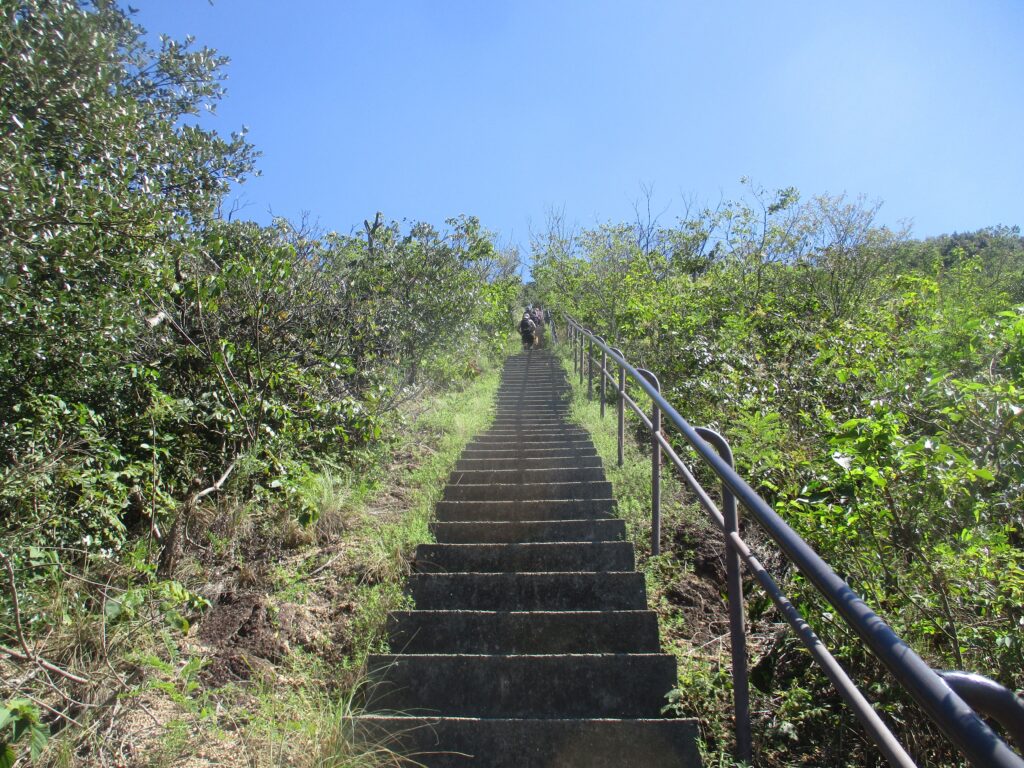 栂尾山の直登は階段が続く