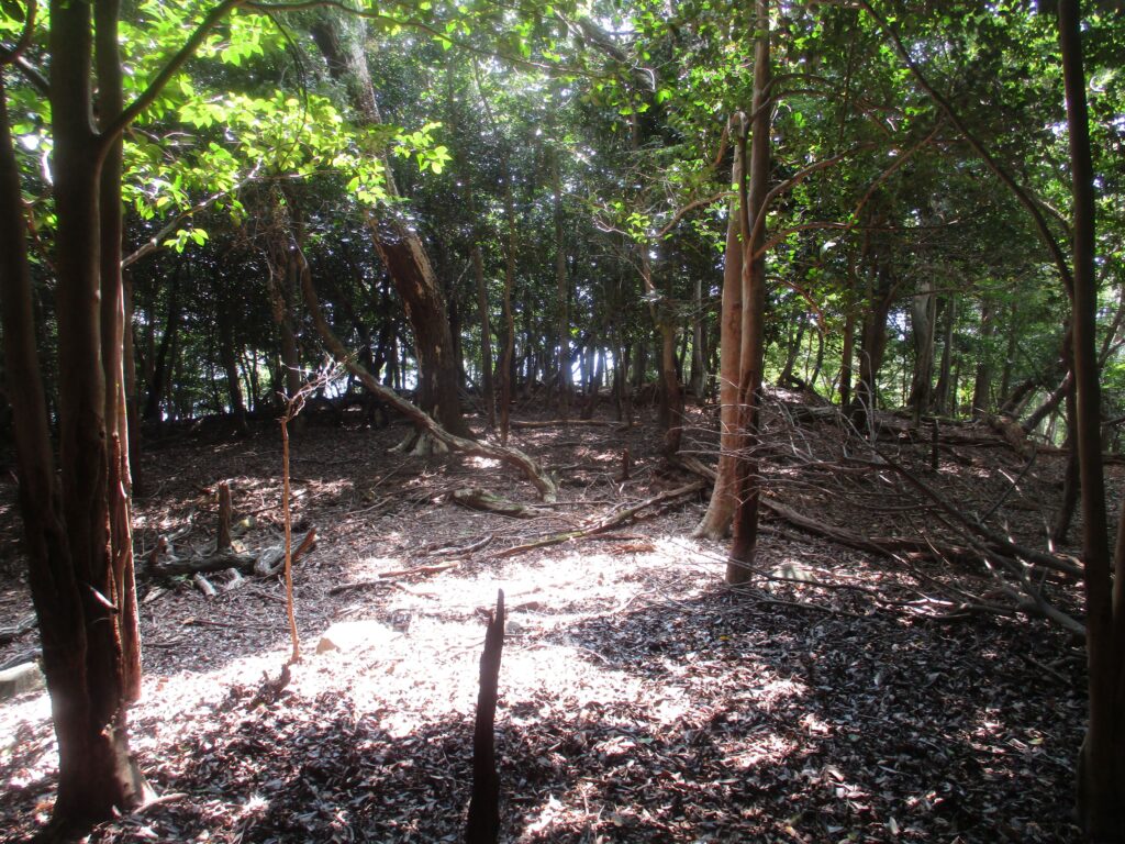 高峰城跡の郭はでかいぞ