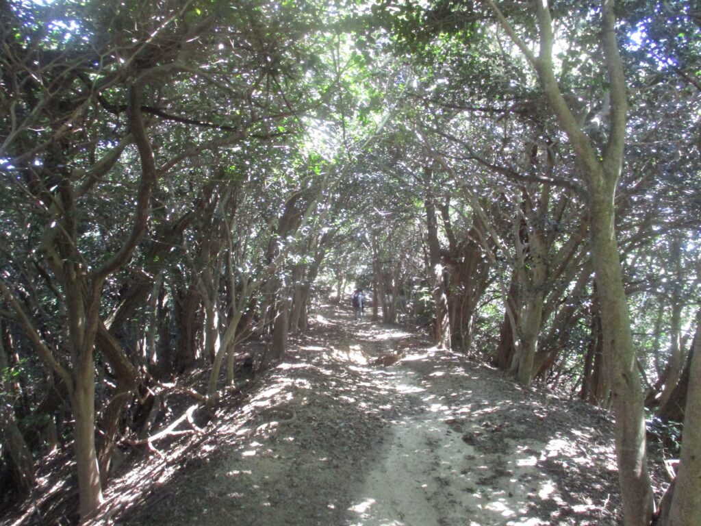 板宿に降りる道