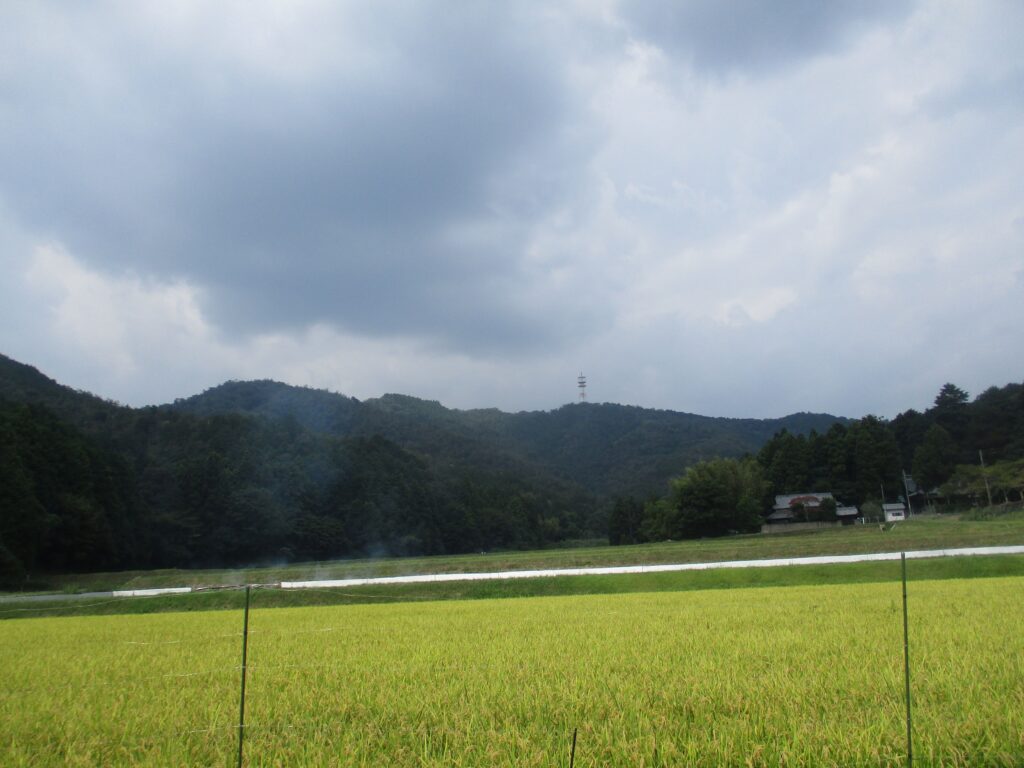 あの鉄塔が深山です