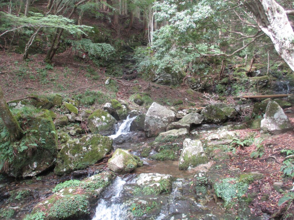 滝の上流を渡渉（あ、丸太橋があった）