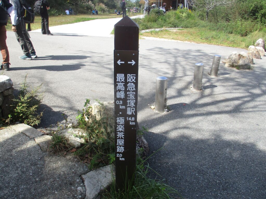 道路の向こうには公園があって