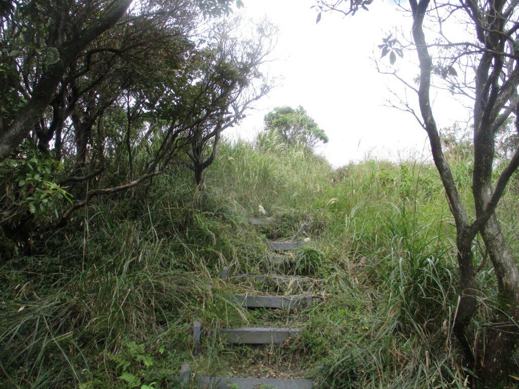 やっと山頂や