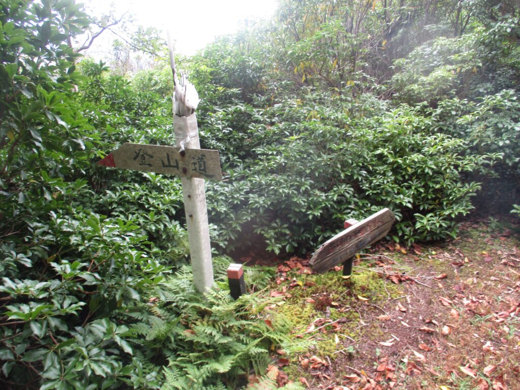 登山道の標識に遭遇