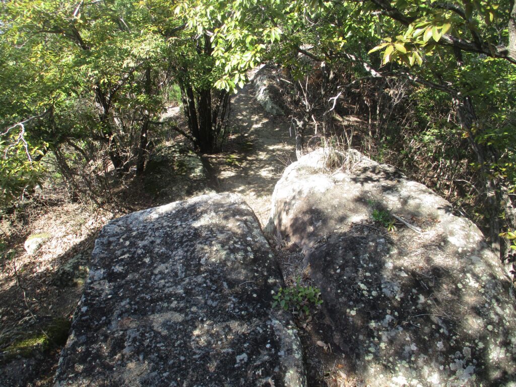 岩の階段